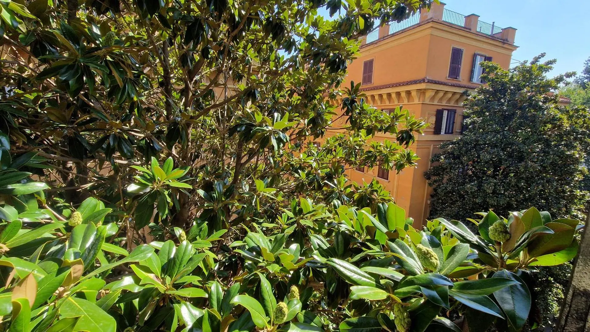 Borghese Magnolia Suite Rome 0*,  Italy